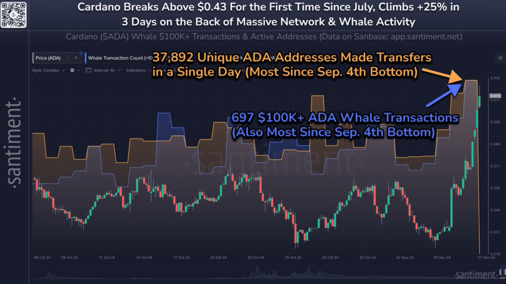 Cardano whale activity