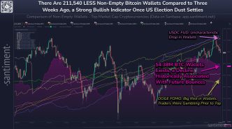 Dogecoin Total Amount of Holders