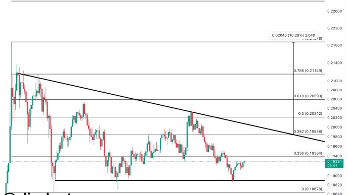 Dogecoin Price Chart