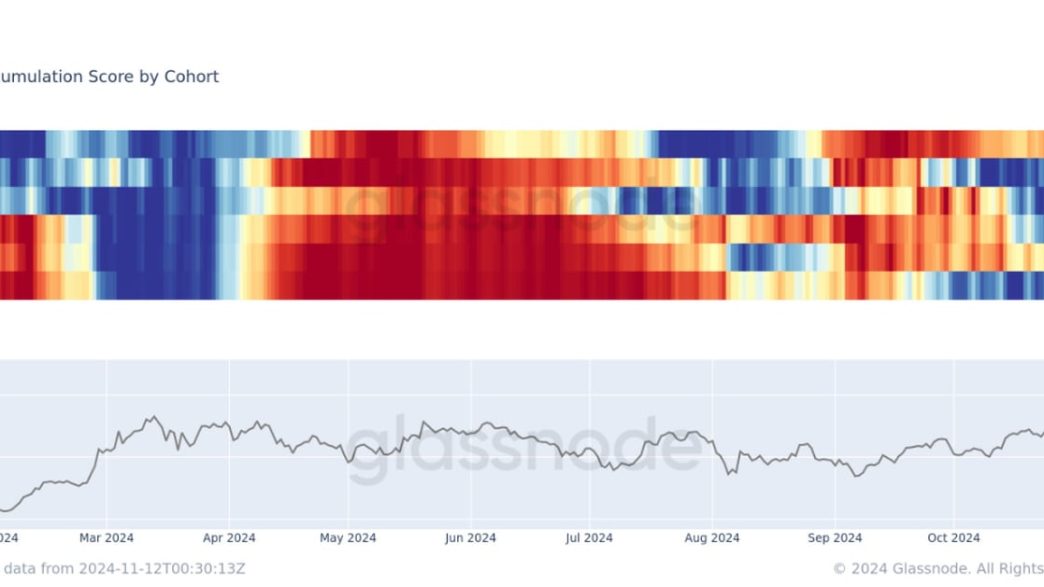 Bitcoin: All Cohorts vs Issuance (Glassnode)