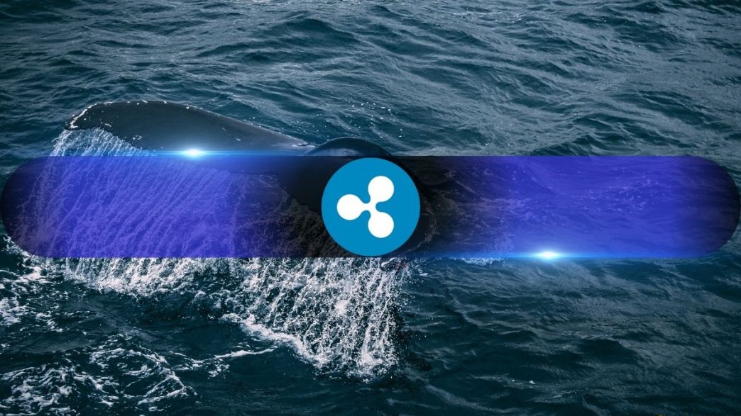 What's Going On? Ripple Whales Holding Over 1M XRP at 6-Year High