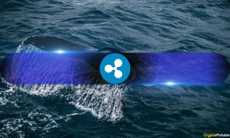 What's Going On? Ripple Whales Holding Over 1M XRP at 6-Year High