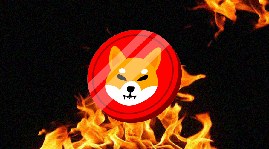 Shiba Inu Burn Rate Ignites 3,674% On Election Day, Will SHIB Move With Dogecoin Price To New ATH?