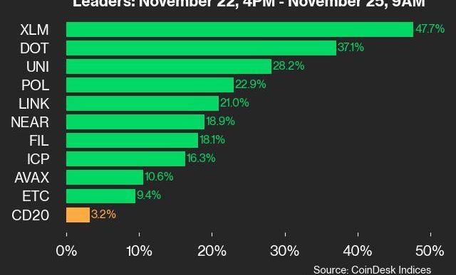 9am CoinDesk 20 Update for 2024-11-25: leaders chart