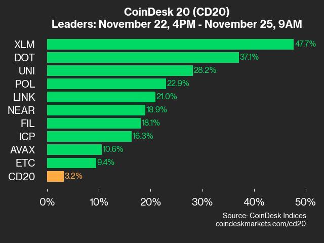 9am CoinDesk 20 Update for 2024-11-25: leaders chart