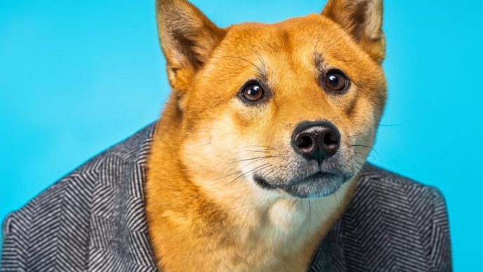 To the Moon? Dogecoin Futures Open Interest Hits All-Time High—But Traders Are Hedging