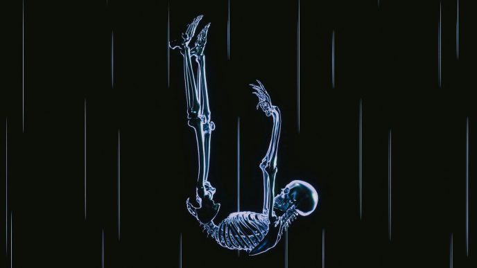 A skeleton in freefall