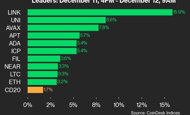 9am CoinDesk 20 Update for 2024-12-12: leaders chart