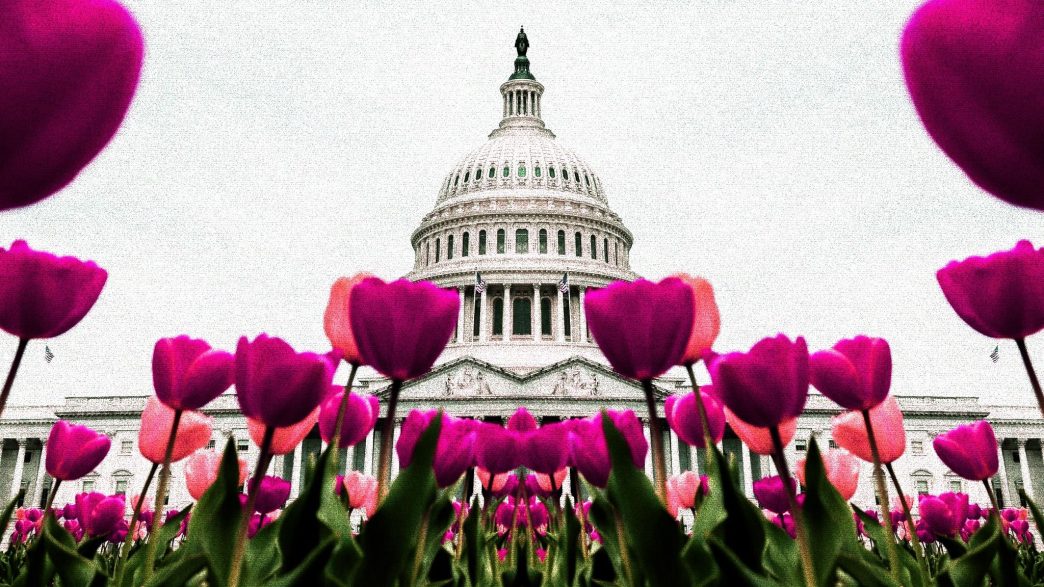 United States Capitol Building in Washington D.C (ElevenPhotographs/Unsplash, modified by CoinDesk)