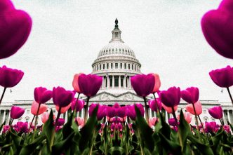 United States Capitol Building in Washington D.C (ElevenPhotographs/Unsplash, modified by CoinDesk)