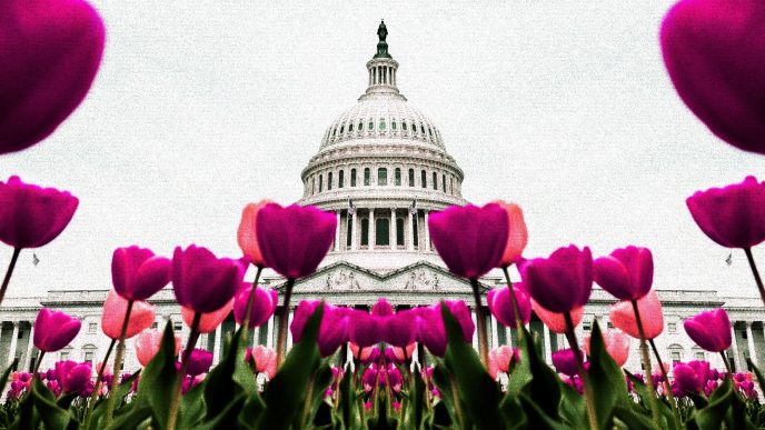 United States Capitol Building in Washington D.C (ElevenPhotographs/Unsplash, modified by CoinDesk)