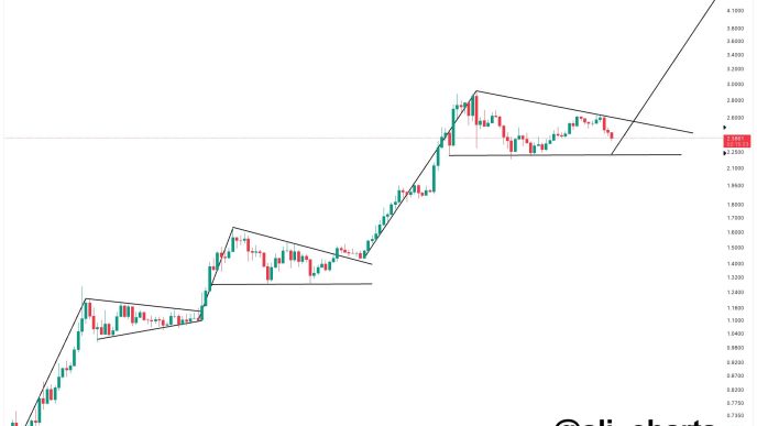 XRP Bull Pennant