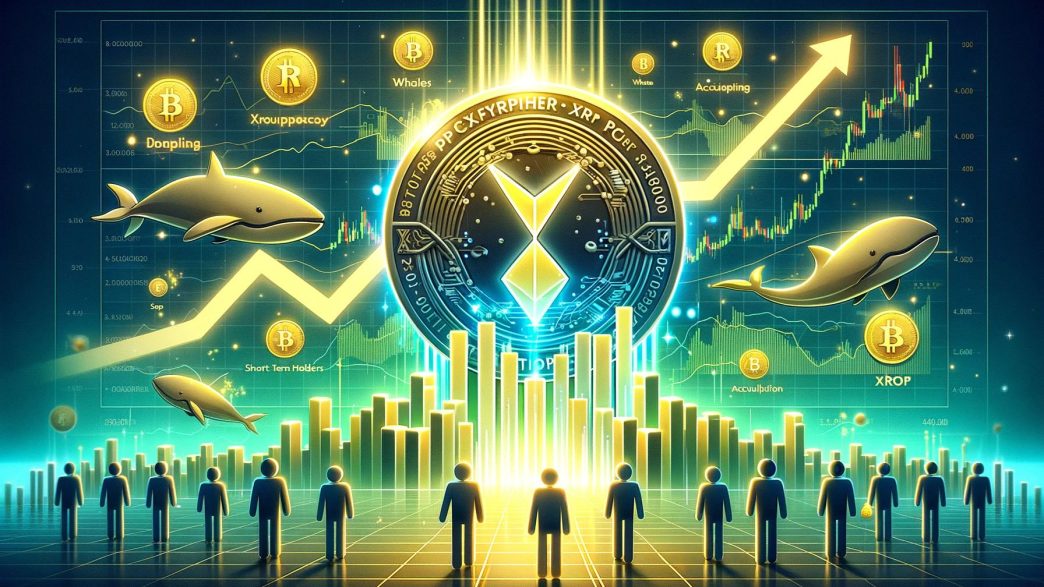 XRP Reaches 6-Year High – Whales And STH Accumulate Together