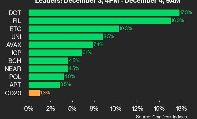 9am CoinDesk 20 Update for 2024-12-04: leaders chart