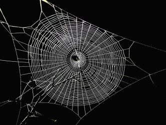 Spiderchain, a Bitcoin layer 2 blockchain. (Shutterstock)