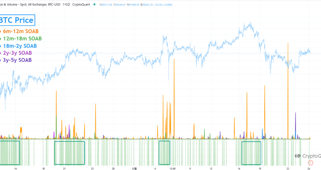 Who Profited During Bitcoin’s $100,000 Surge? Analyst Breaks Down the Data