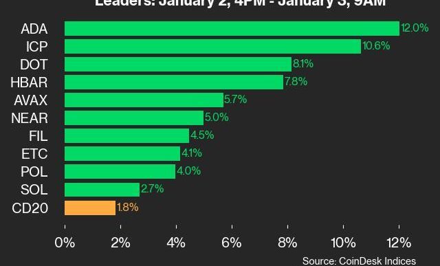 9am CoinDesk 20 Update for 2025-01-03: leaders chart